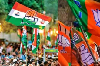 MP Lok Sabha Election Results